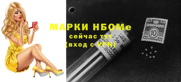 стафф Алексин