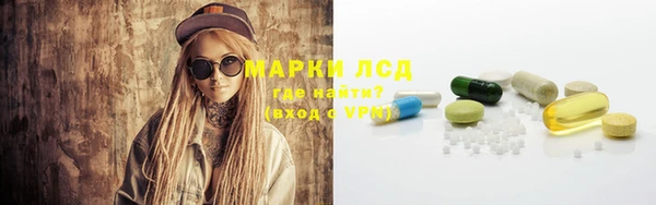 стафф Алексин