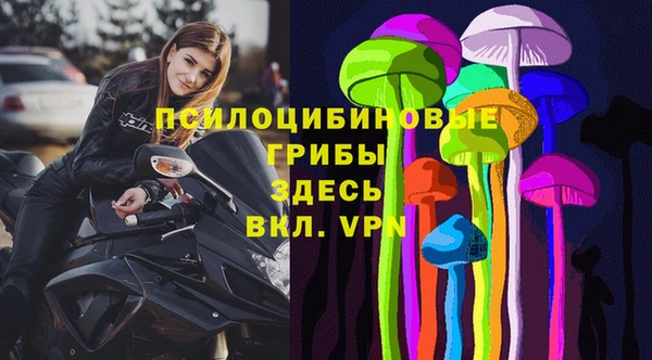 стафф Алексин