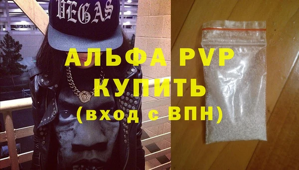 стафф Алексин