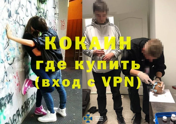 стафф Алексин