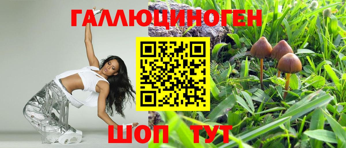Псилоцибиновые грибы прущие грибы  Псилоцибиновые грибы Magic Shrooms  сколько стоит  Вход с VPN  Сосновый Бор 